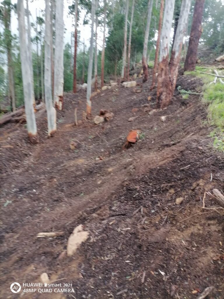 land and bush clearing in belville,cape town