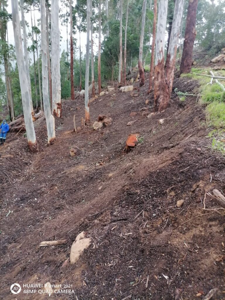 land and bush clearing in garden route