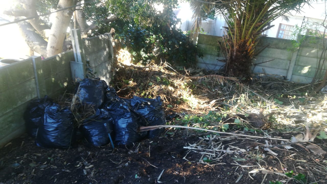 land and bush clearing in george, garden route