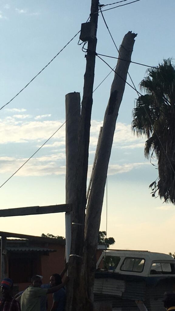 tree felling in pruning hermanus