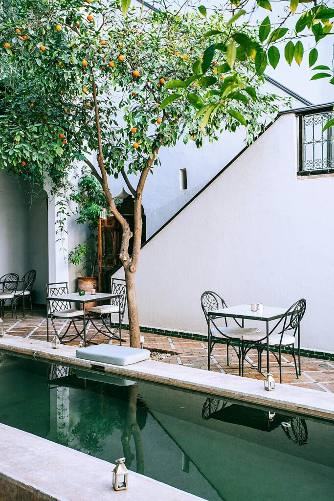 swimming pool maintenance kenilworth