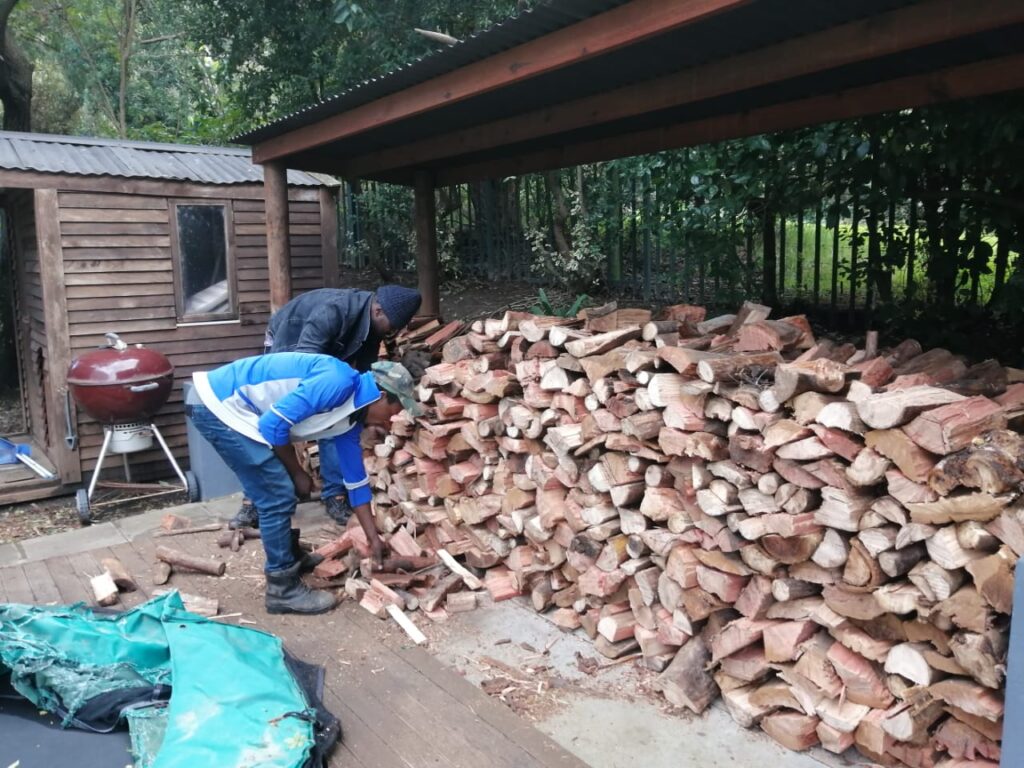 tree felling in bergvliet