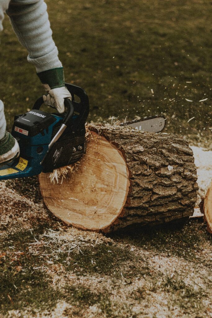 tree felling in claremont