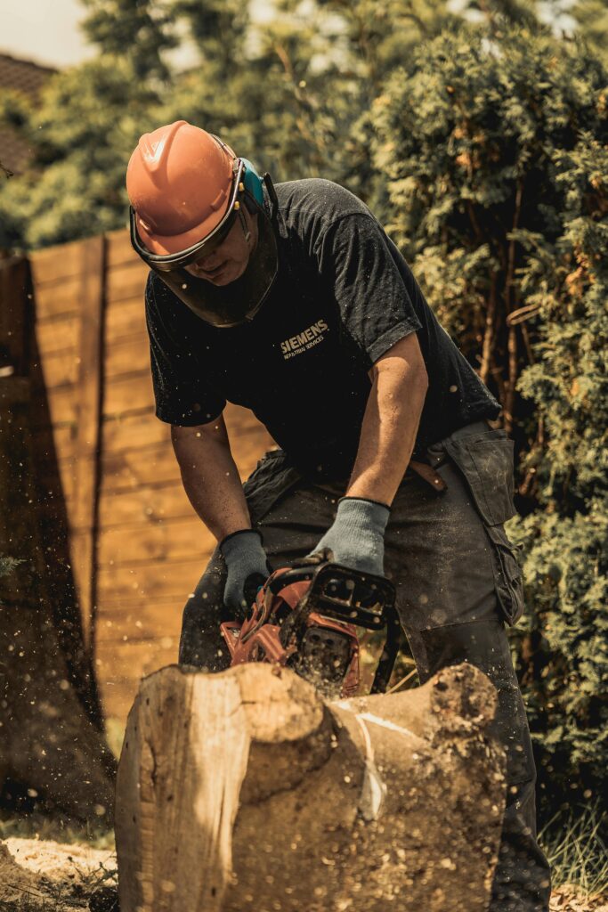 tree felling in claremont