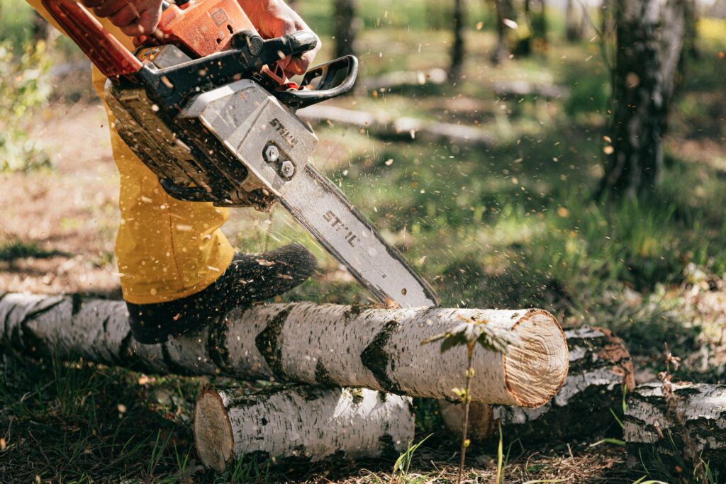 tree felling in meadowridge