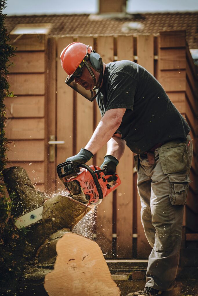 tree felling in heathfield